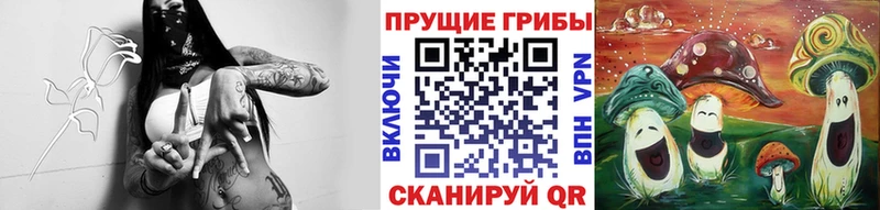как найти закладки Плавск darknet как зайти Галлюциногенные грибы мицелий
